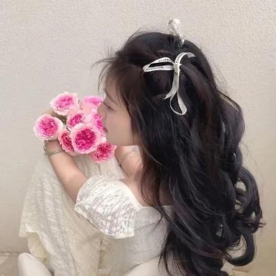 蓬莱龙棺之徐福宝藏